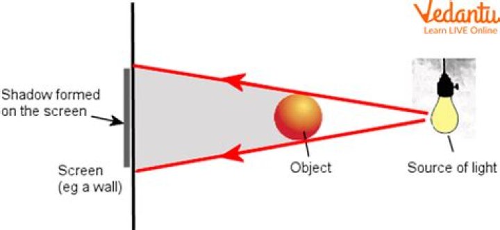 What does basking in the light mean?