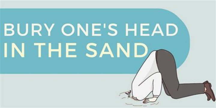 What does burying your head in sand mean?