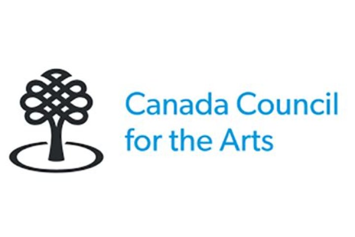What does Canada Council for the Arts do?