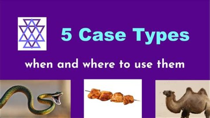 What does Case Type Uresa mean?