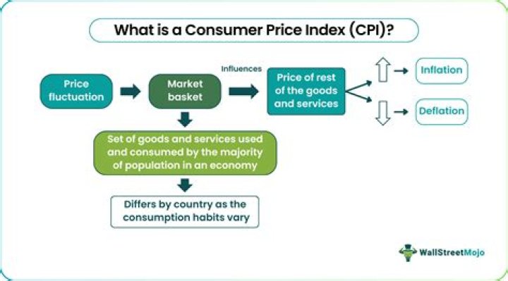 What does CPI stand for in government?