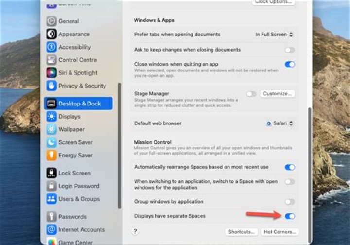 What does displays have separate spaces do on Mac?