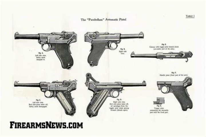 What does DWM mean on a Luger?
