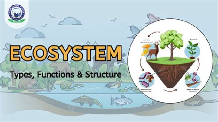 What does ecosystem integrity mean?
