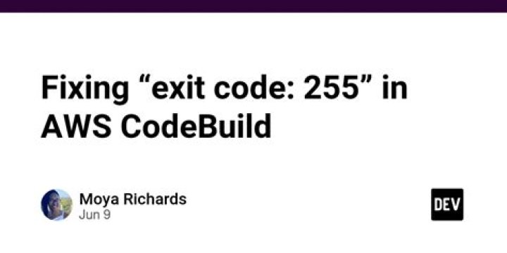 What does exit code 255 mean?