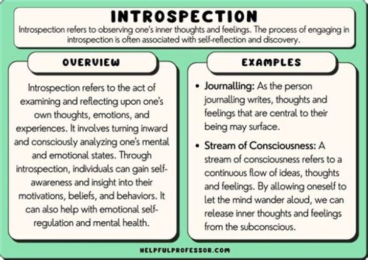 What does Extrospective mean?