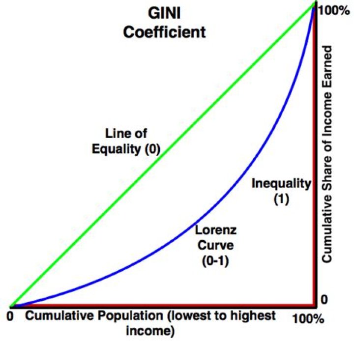What does Gini coefficient measure?