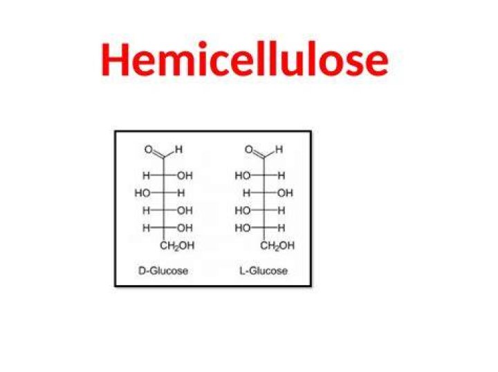 What does hemicellulose do in the body?