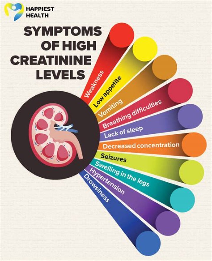 What does high creatinine and high GFR mean?