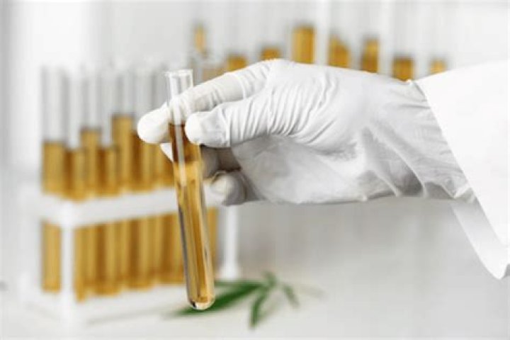 What does IEH lab stand for?