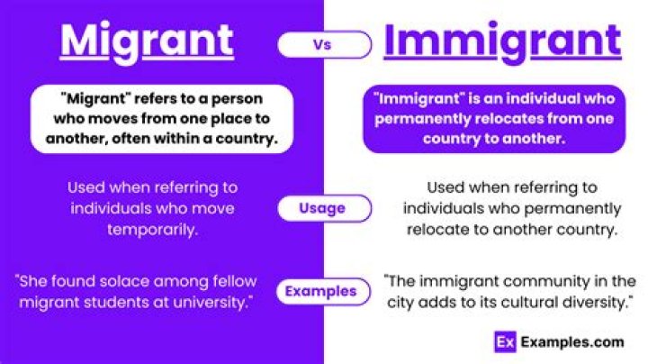 What does immigrant amnesty mean?