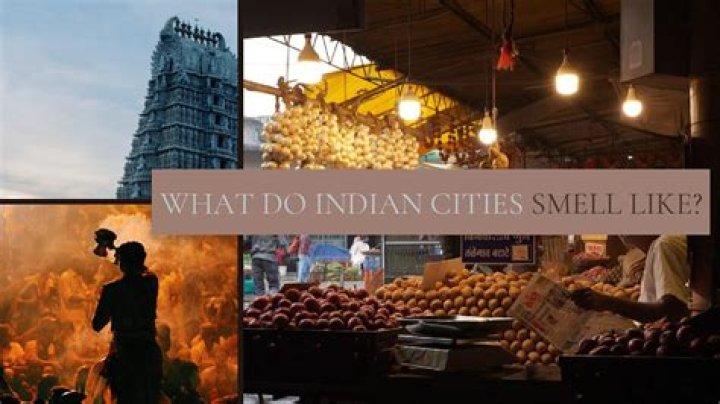 What does India love do for a living?