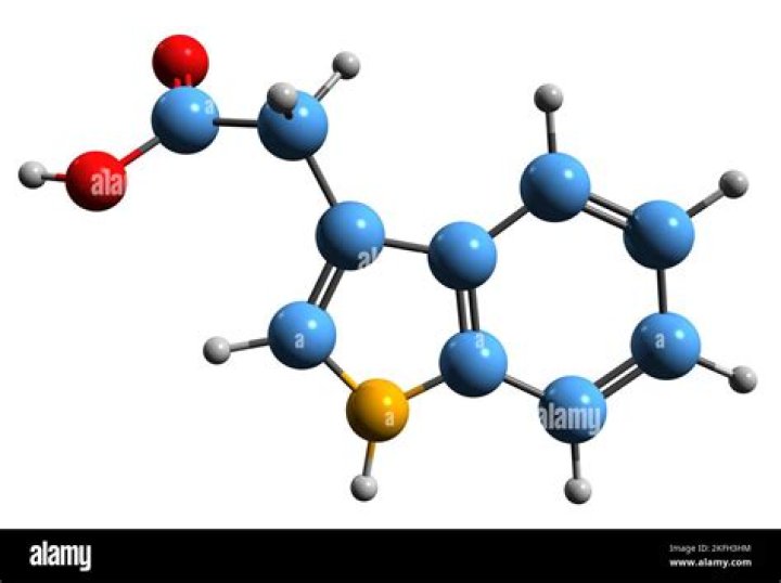 What does indole acetic acid do?