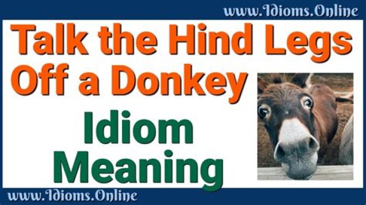 What does it mean to say talk the hind legs off a donkey?