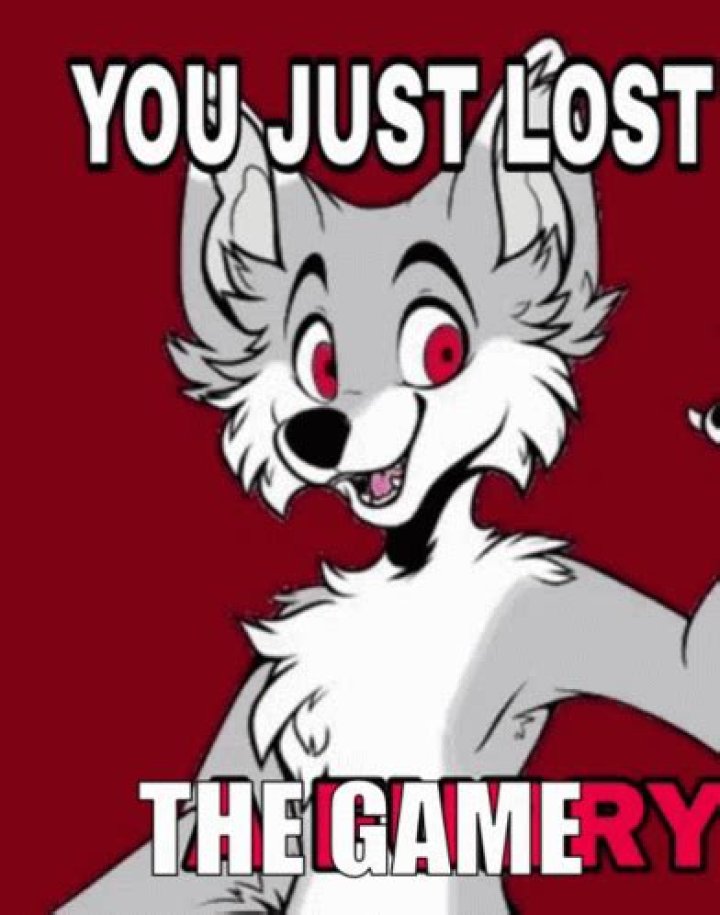 What does it mean when someone says I lost the game?