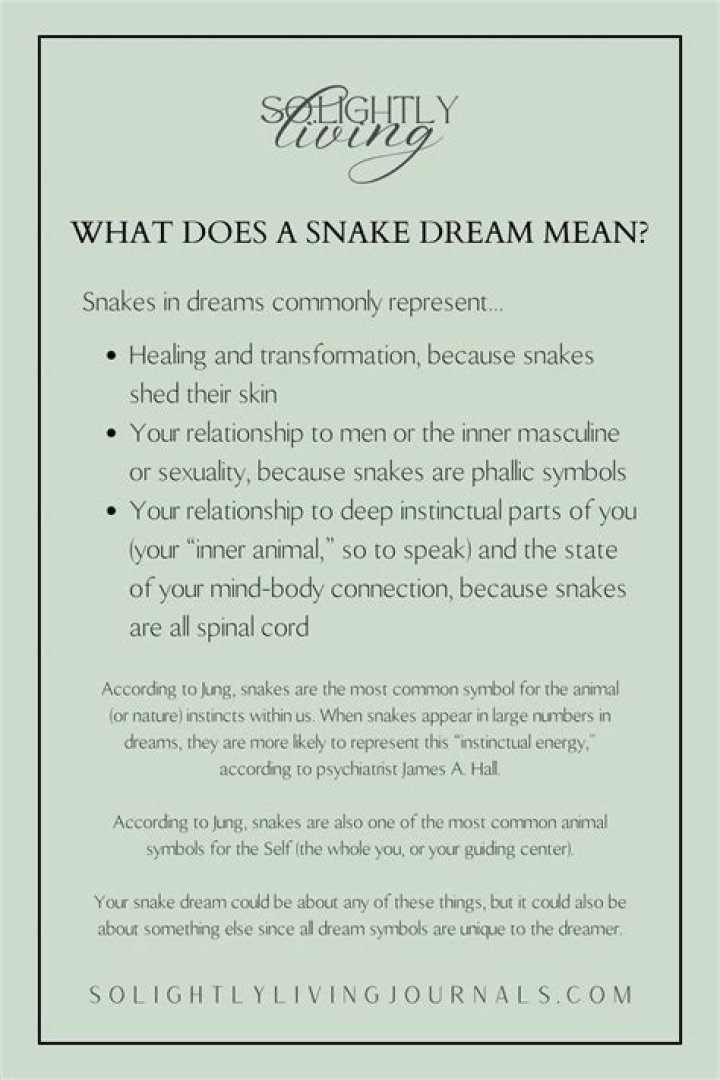 What does it mean when you see snakes in your dream?