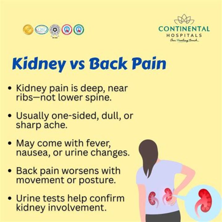 What does kidney pain feel like in lower back?