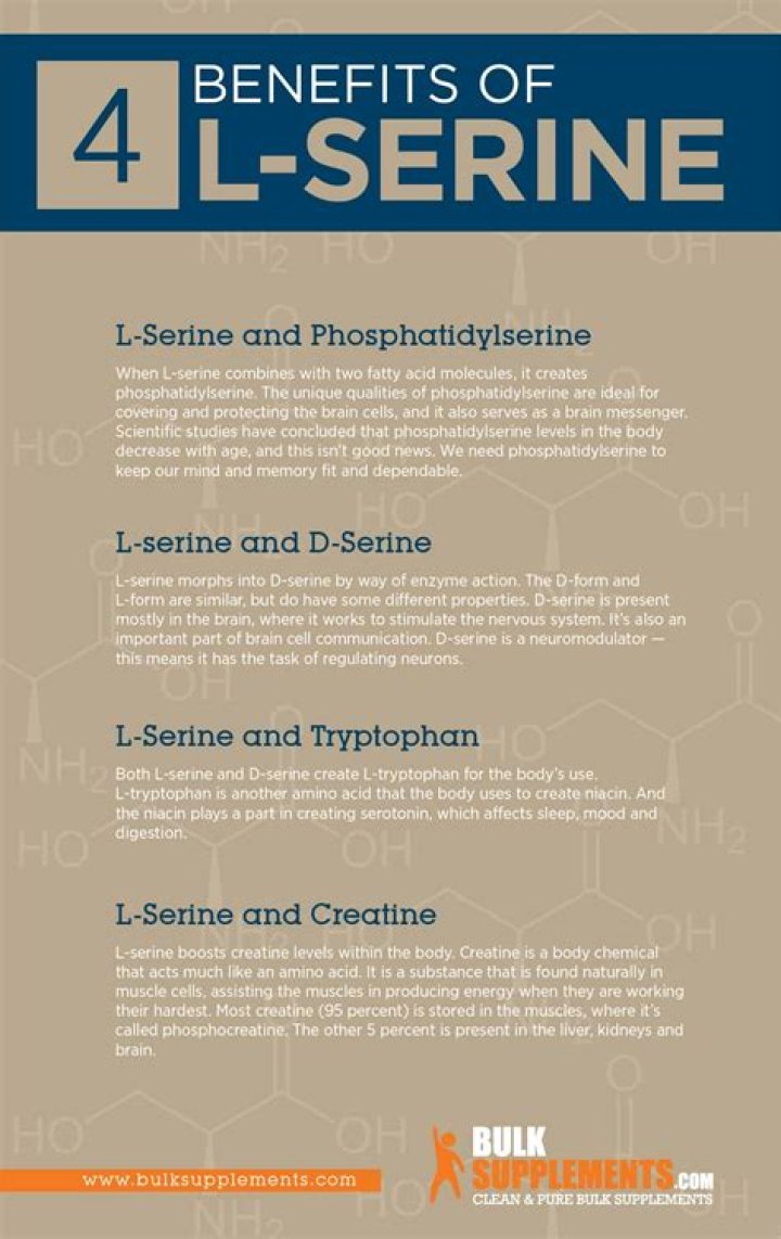 What does L-serine do?