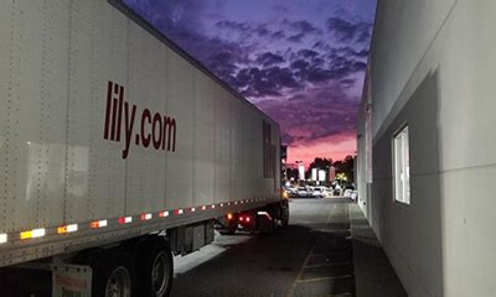 What does Lily transportation do?