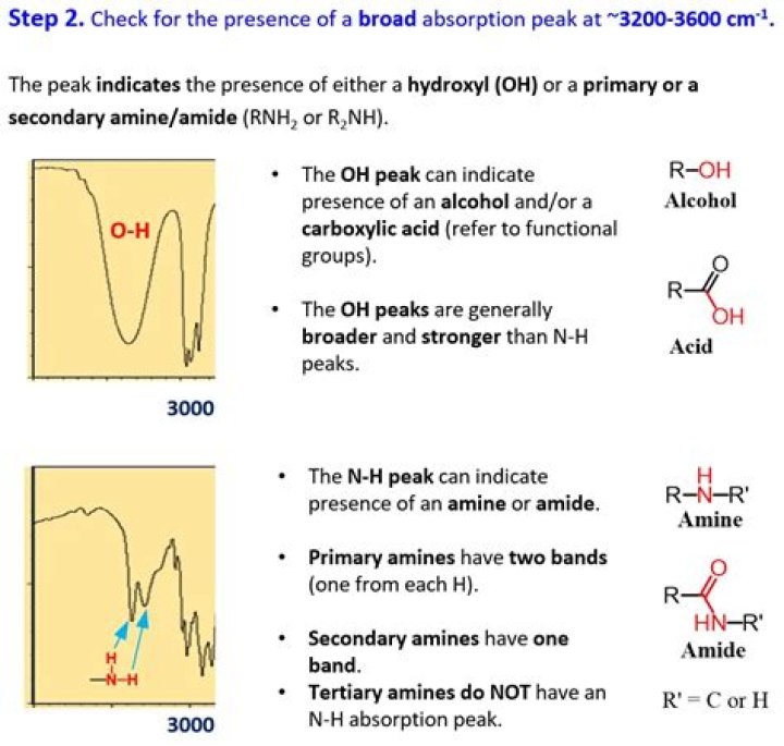 What does NH 205 mean?