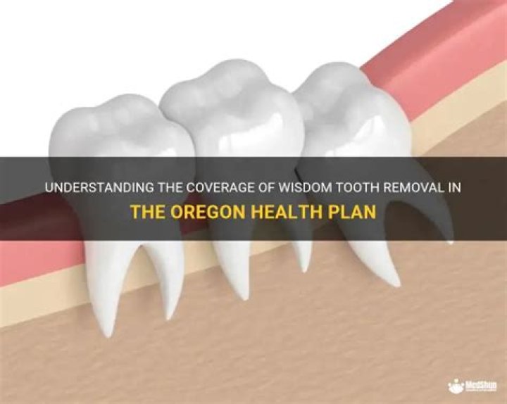 What does Oregon Health Plan cost?