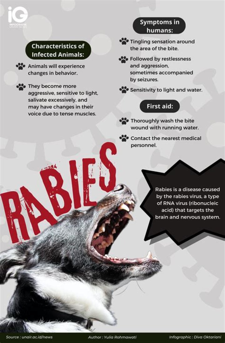What does rabies feel like in humans?