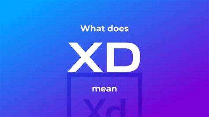 What does RC XD do?