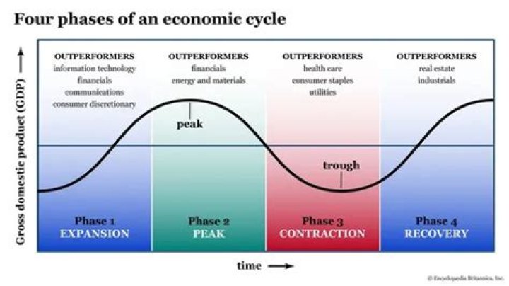 What does REER mean in economics?