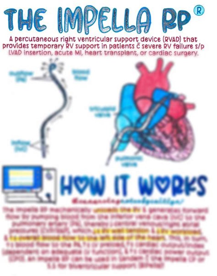 What does Rp stand for in Impella RP?