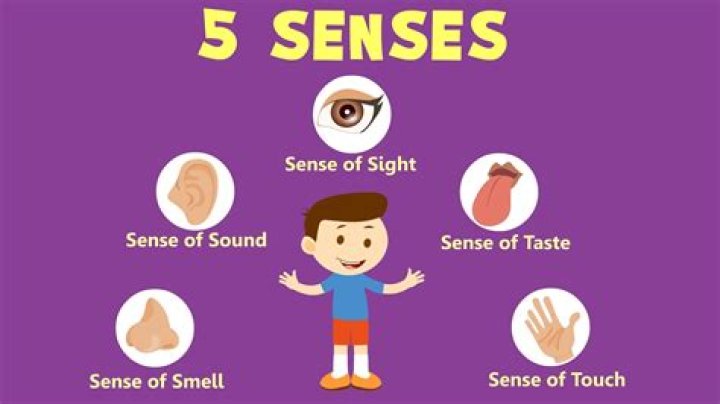 What does sense finality mean?