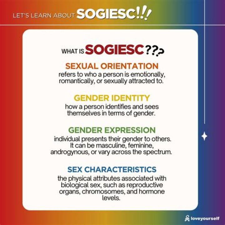 What does Sogiesc mean?