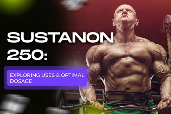 What does Sustanon 250 do to your body?
