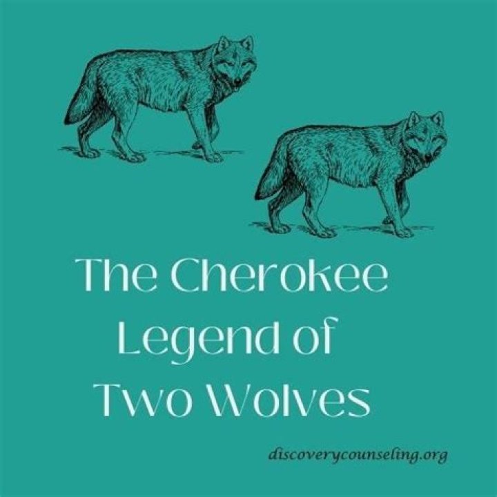 What does the Cherokee story of two wolves say about human experience?