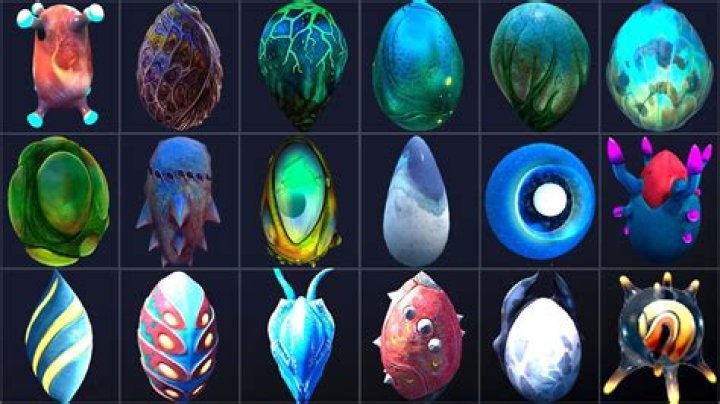 What does the dream dragon egg look like?