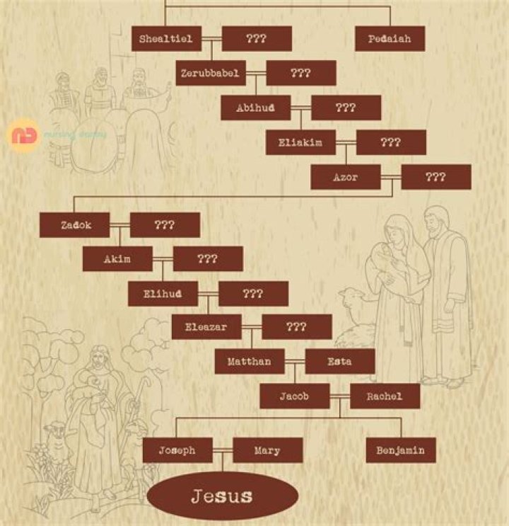 What does the genealogy of Jesus reveal?
