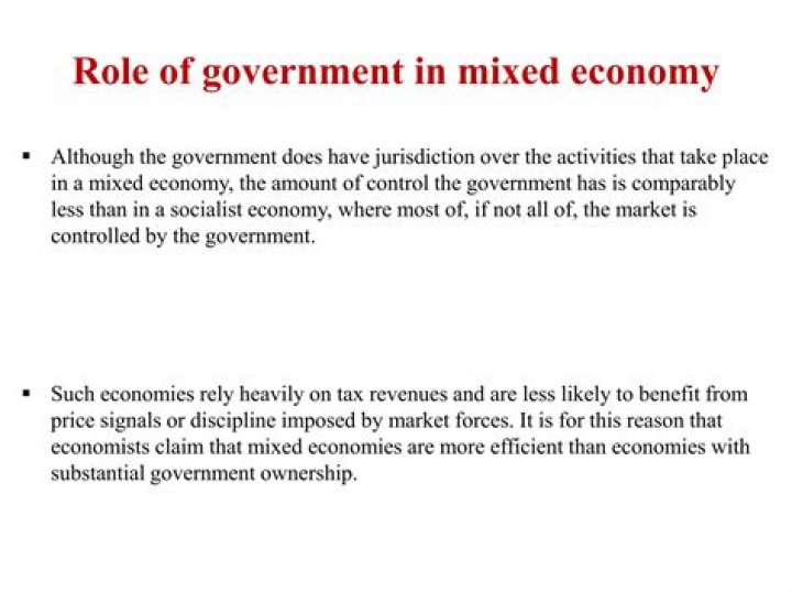 What does the government control in a mixed economy?