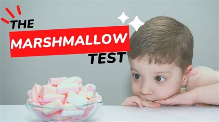 What does the marshmallow test actually test?