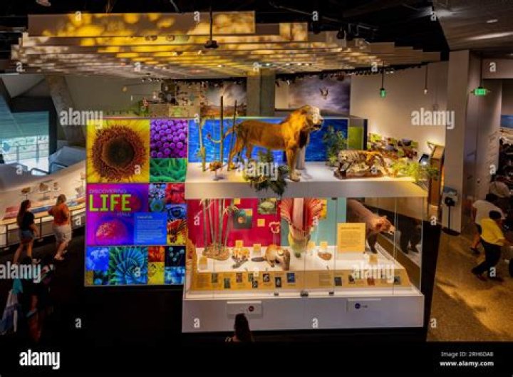 What does the Perot Museum have?