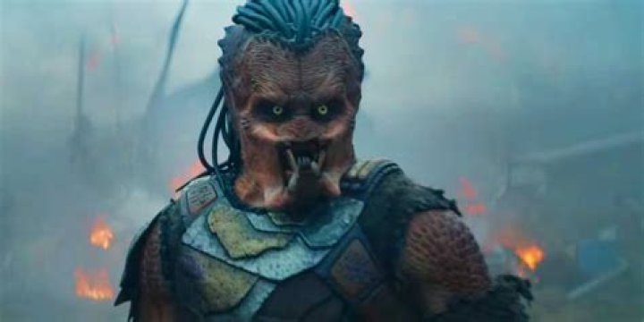 What does the Predator see without his mask?