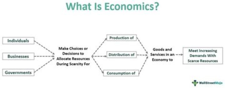 What does the study of economics examine?