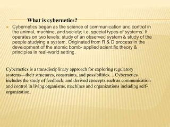What does the term cybernetics mean?