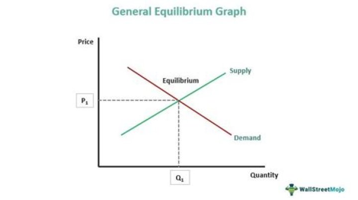 What does the word general mean in general equilibrium models?