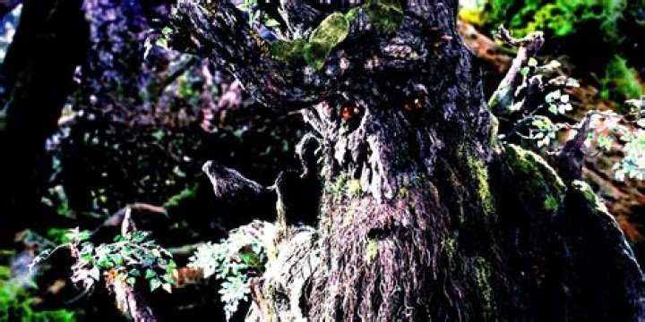 What does Treebeard mean?