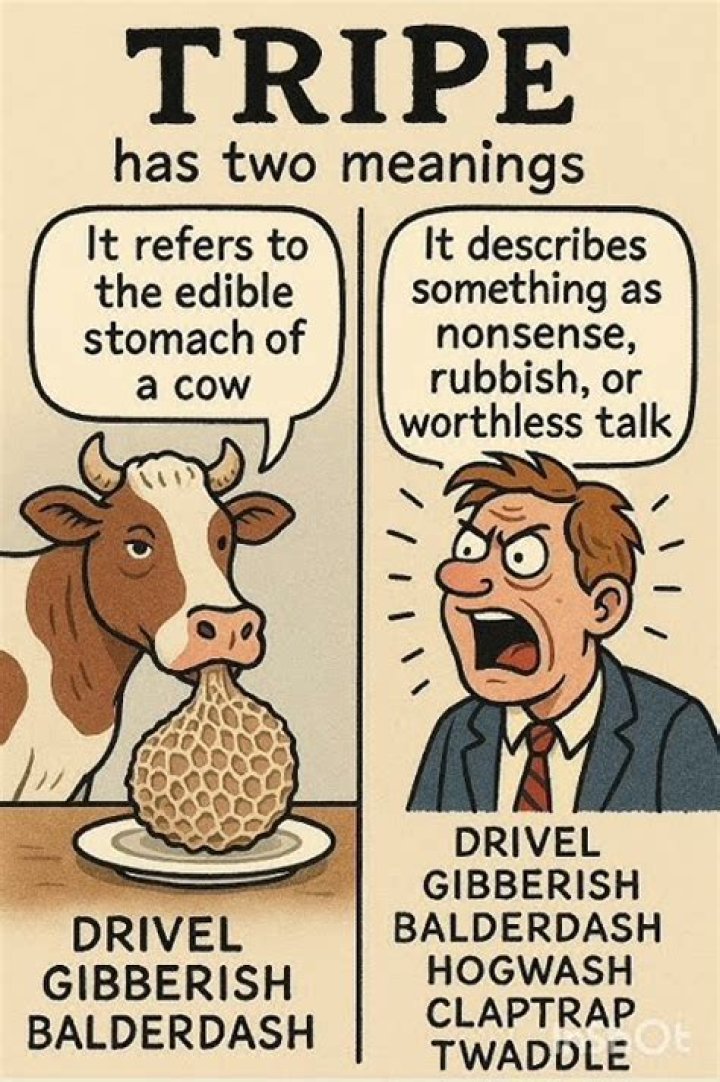 What does tripe mean?