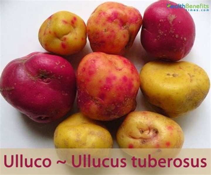 What does ullucus taste like?