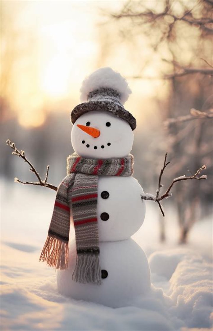 What does UN Bonhomme de neige?