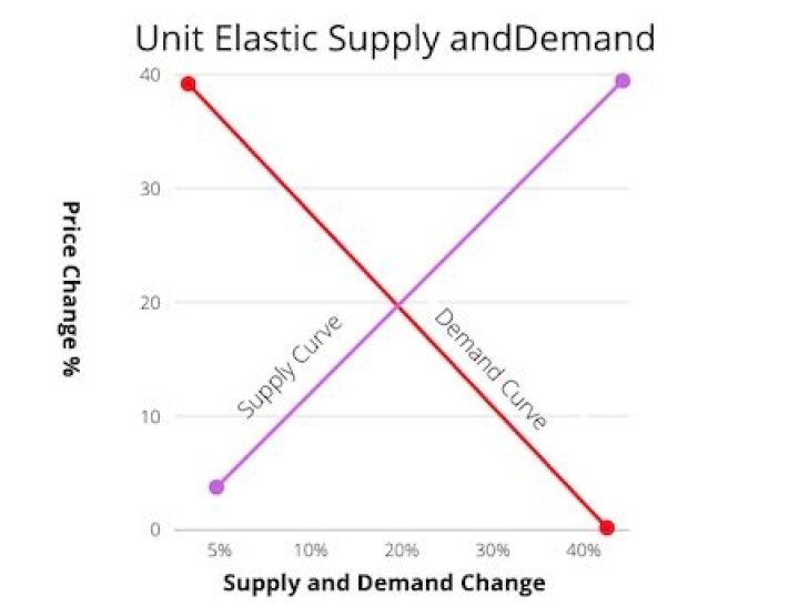 What does unit elastic supply mean?