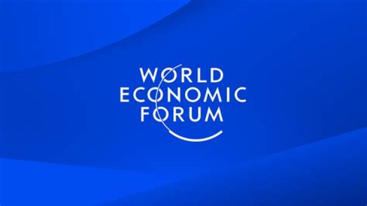 What does World Economic Forum do?