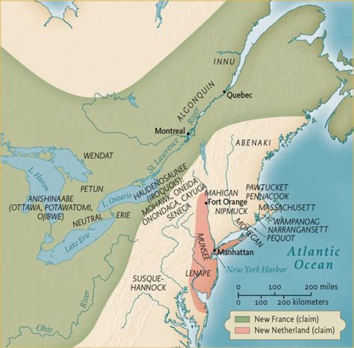 What economic activity was common in New France and New Netherland?