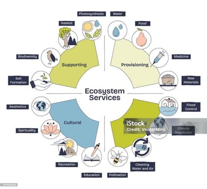 What economic importance do humans get from the ecosystem?
